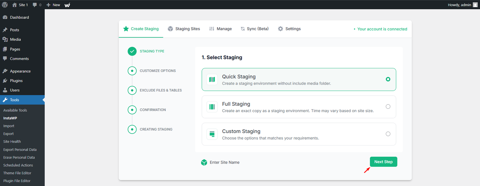 Staging options asking for the staging type and a site name before continuing