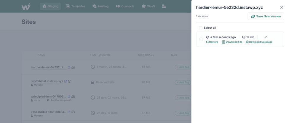 Option to save new version (or a snapshot) of your WP staging site A new version (or a snapshot) of your WP staging site