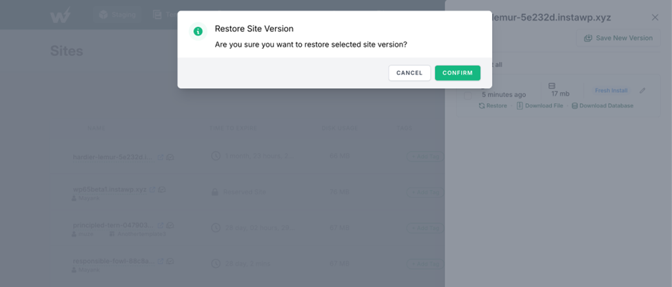 Option to restore a site version (or a snapshot) of your WP staging site Option to restore a site version (or a snapshot) of your WP staging site