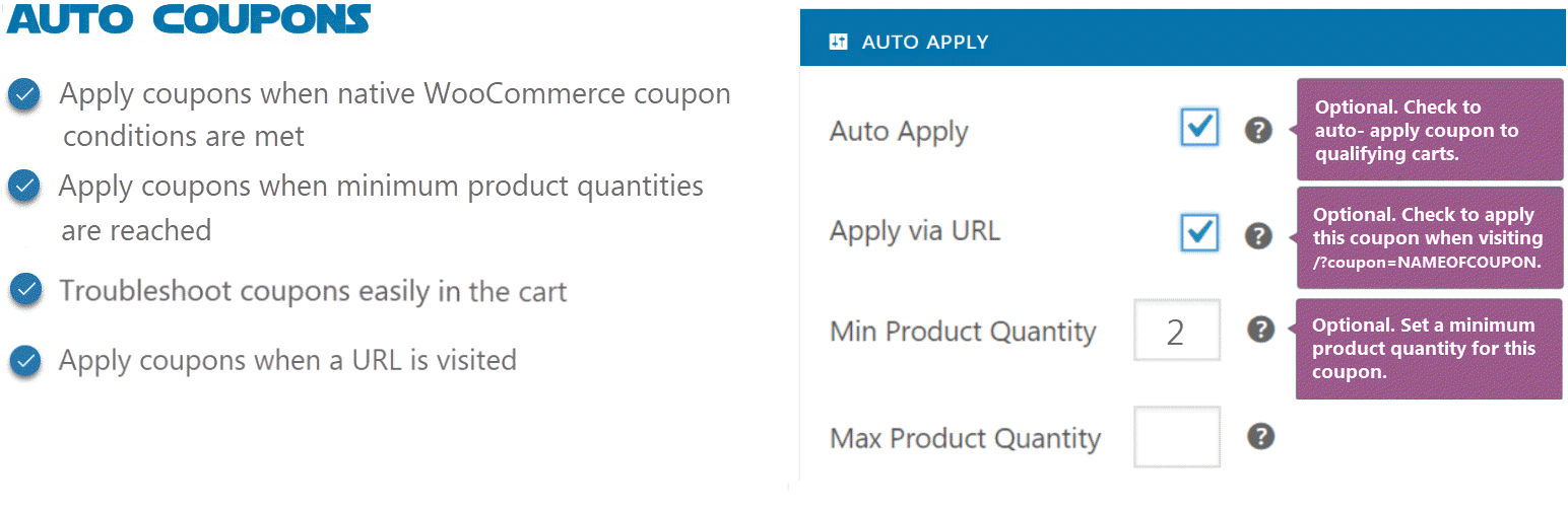 Homepage screenshot of best WordPress coupon plugin - Auto Coupons for WooCommerce