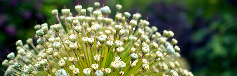 redirection-banner