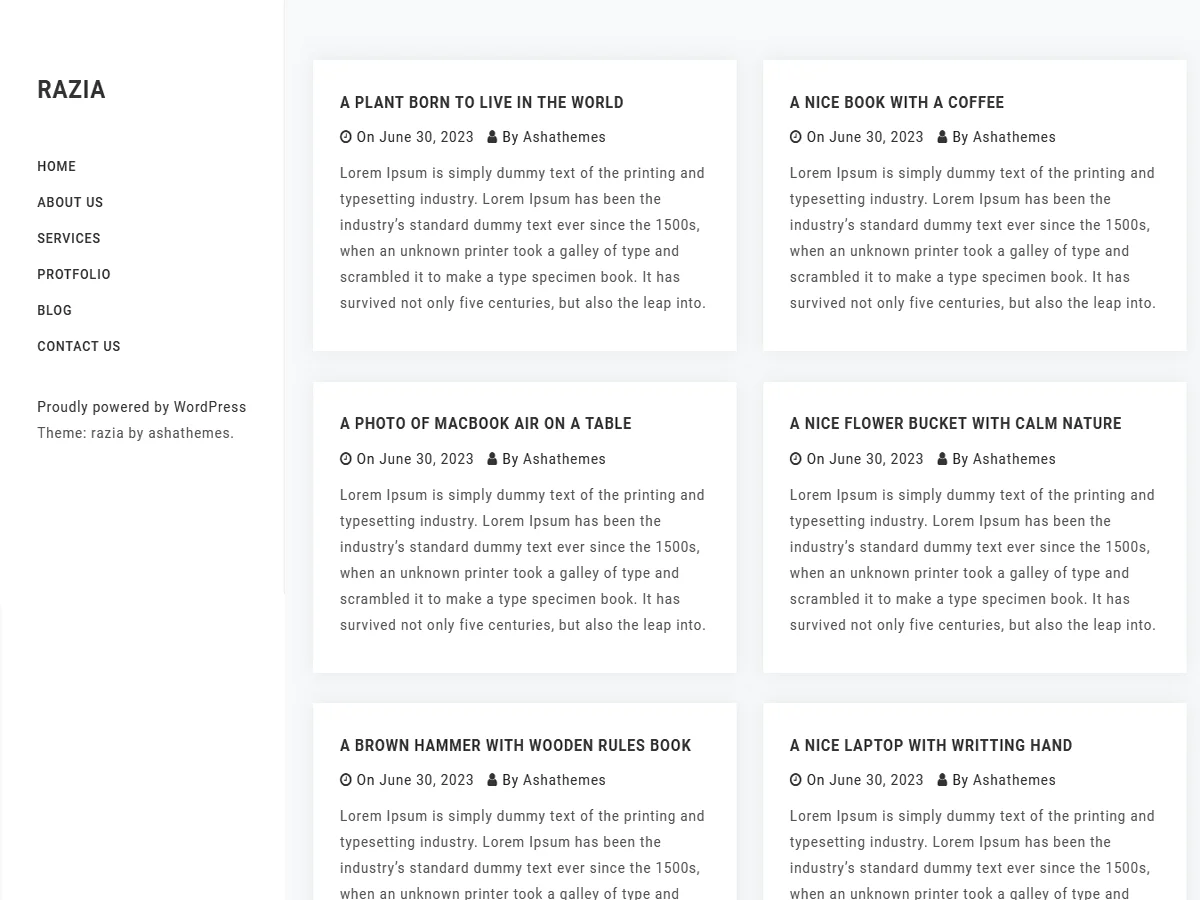 Api Razia Razia Razia - Responsive Blog Theme