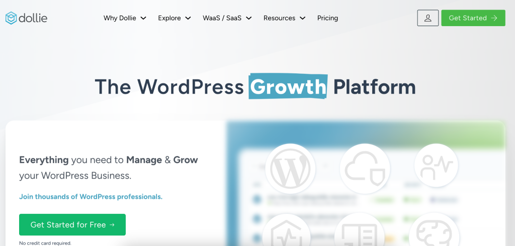 screenshot of landing page of Dollie
