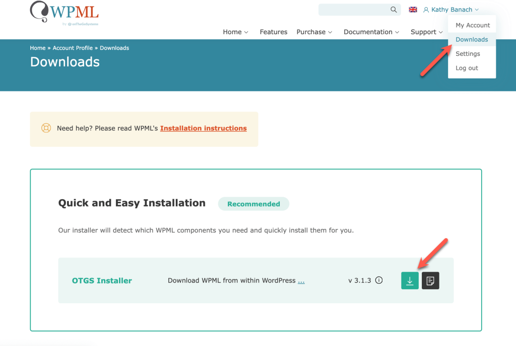 multilingual website