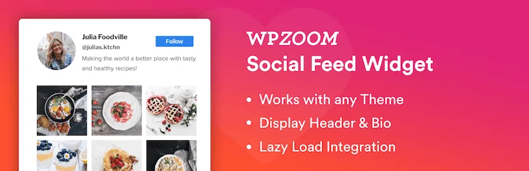instagram-widget-by-wpzoom-banner