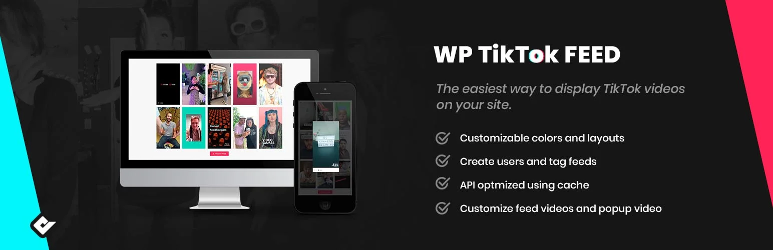 wp-tiktok-feed-banner