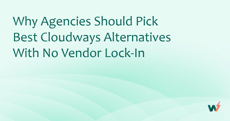 Why Agencies Should Pick Best Cloudways Alternatives With No Vendor Lock-in