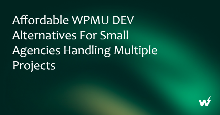 Affordable WPMU DEV Alternatives for Small Agencies Handling Multiple Projects 
