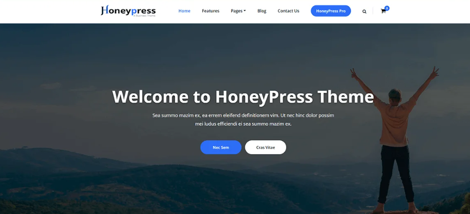 Screenshot of HoneyPress, the best WordPress multipurpose theme with clean design and flexible layout options.