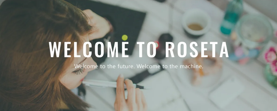 "Screenshot of Roseta, a visually appealing and best WordPress multipurpose theme with high customization.