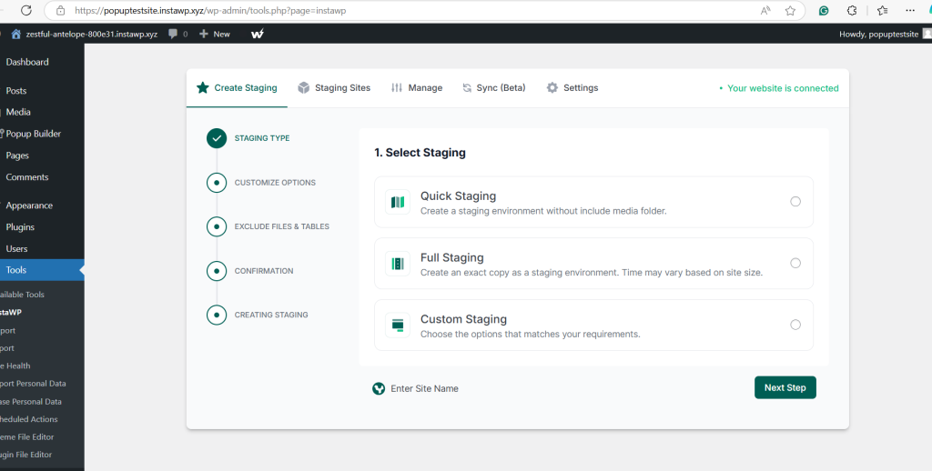 Screenshot of a staging site creation interface with options for Quick Staging, Full Staging, and Custom Staging.