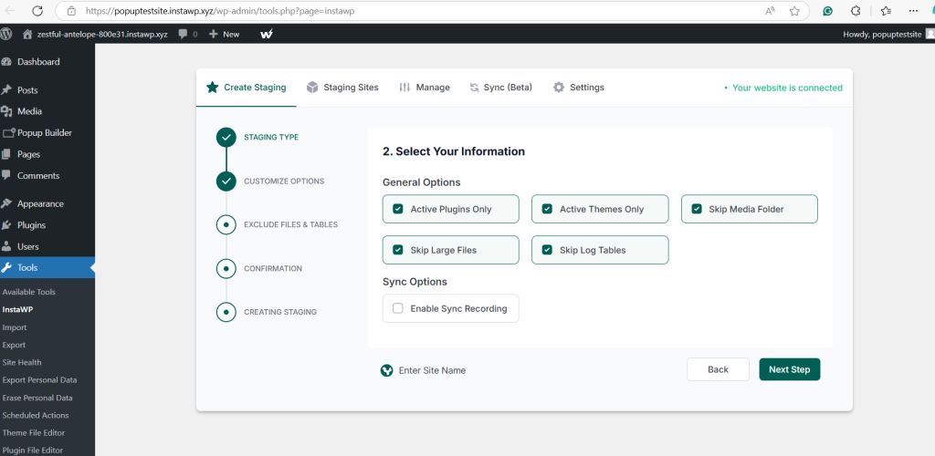 A screenshot of a WordPress admin panel with InstaWP plugin interface for creating a staging site, showing options for selecting information such as active plugins, themes, and file exclusions.