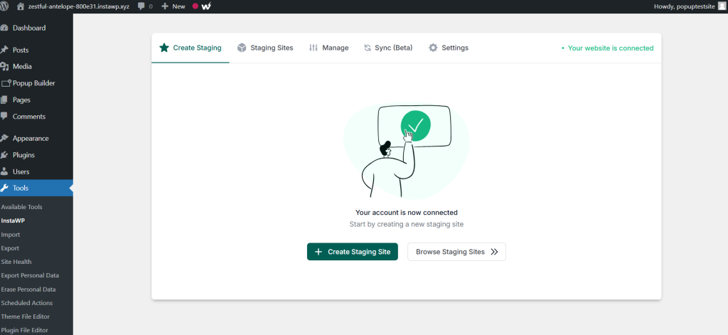 A stylized illustration of a figure pointing towards a computer screen with a green checkmark, indicating a successful account connection within a WordPress admin dashboard environment.