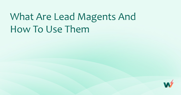 What are Lead Magnets and How to use Them 