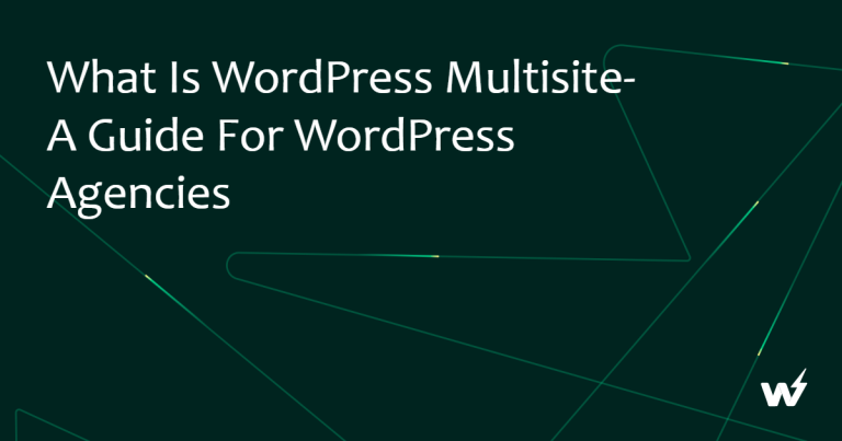 What Is WordPress Multisite- A Guide For WordPress Agencies 