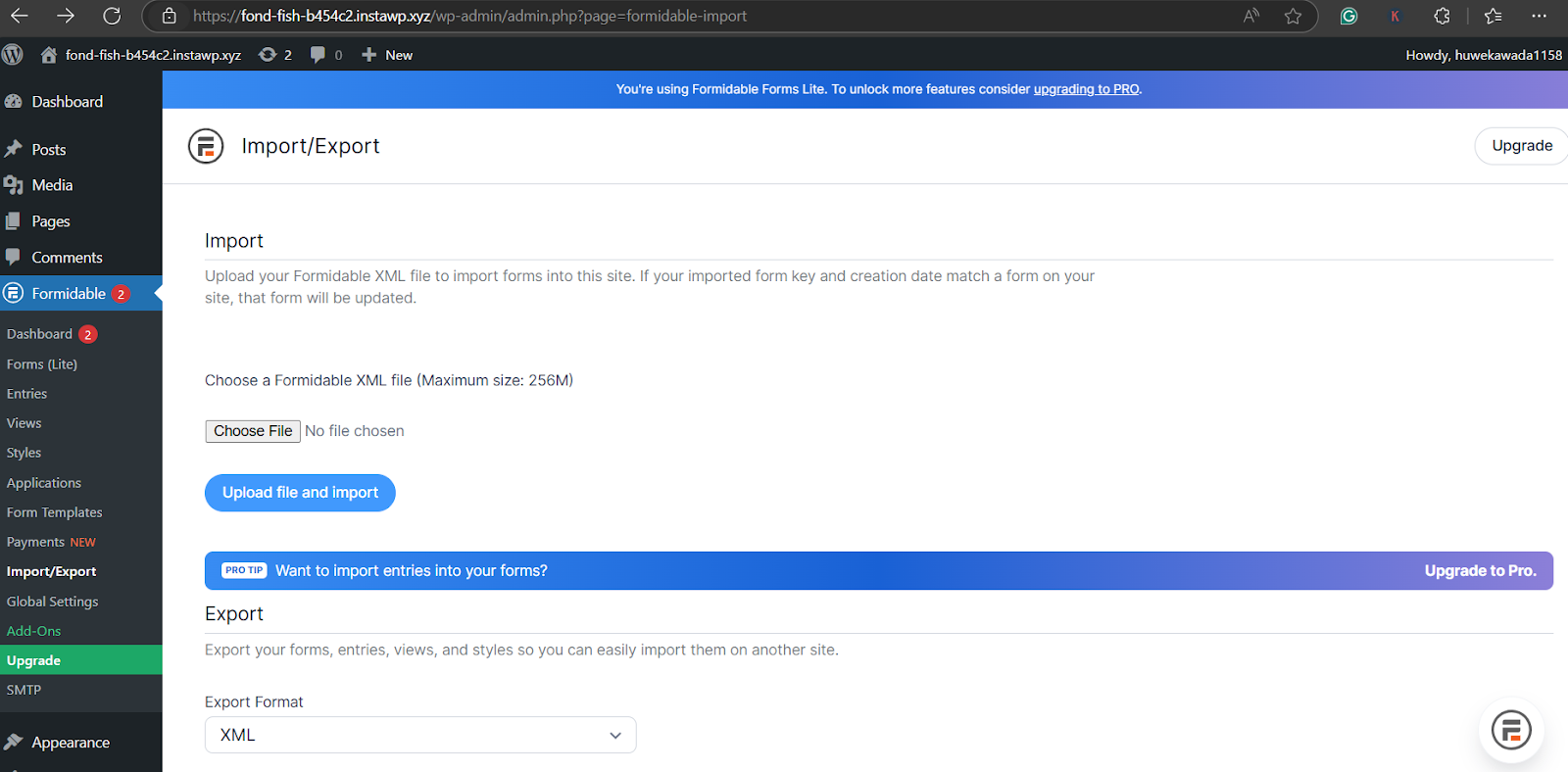 Export Database (Optional) Export Database (Optional)