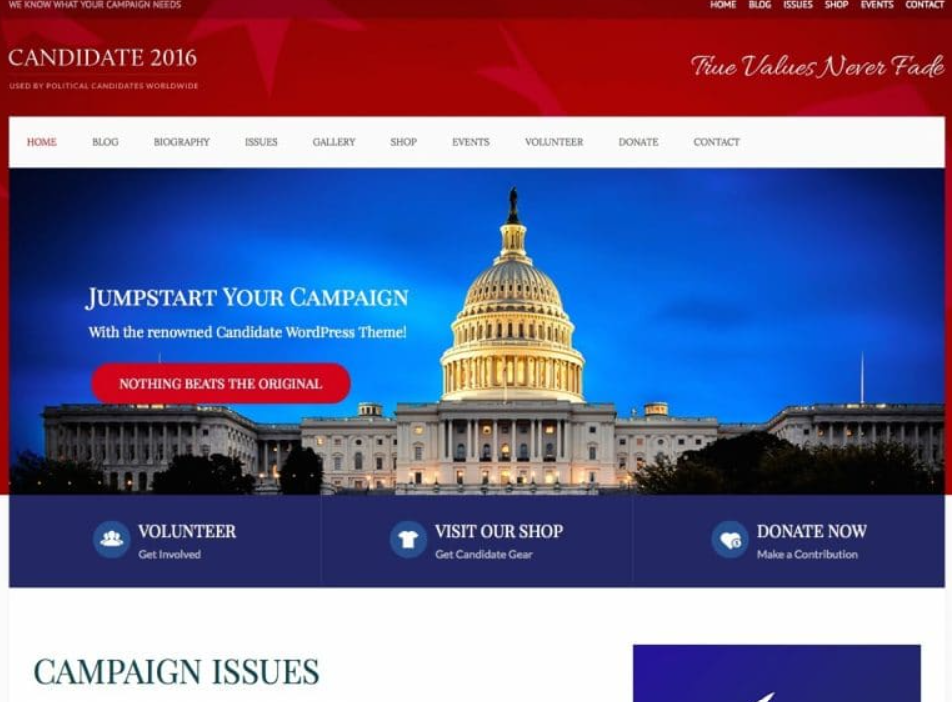 political campaign WordPress themes