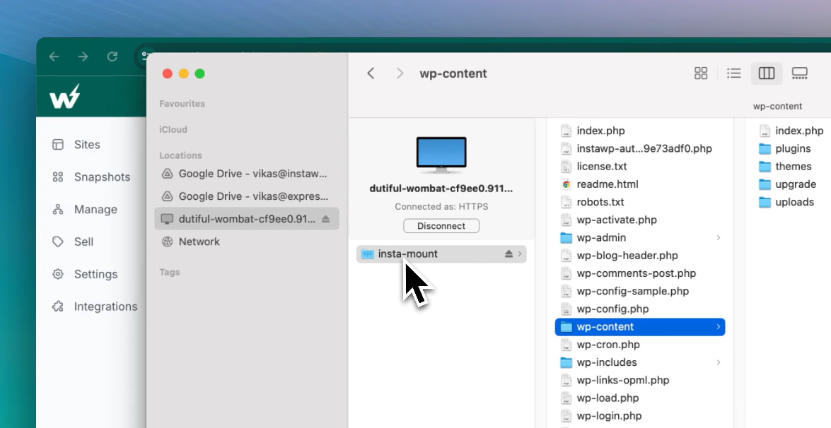 Local Mounting for WordPress Sites