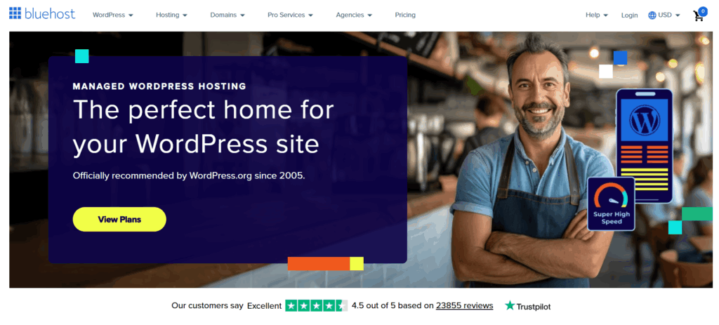 Bluehost WordPress blog hosting interface with beginner-friendly options and one-click blog setup.