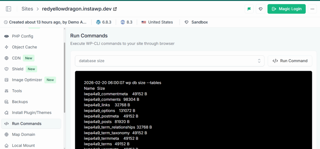 Run Commands output showing wp db size --tables results, listing each WordPress table and its size in bytes