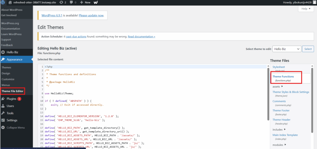 WordPress Theme File Editor editing the Hello Biz theme's functions.php, with Theme File Editor and Theme Functions highlighted