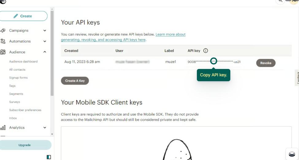 Link to Your Mailchimp Account