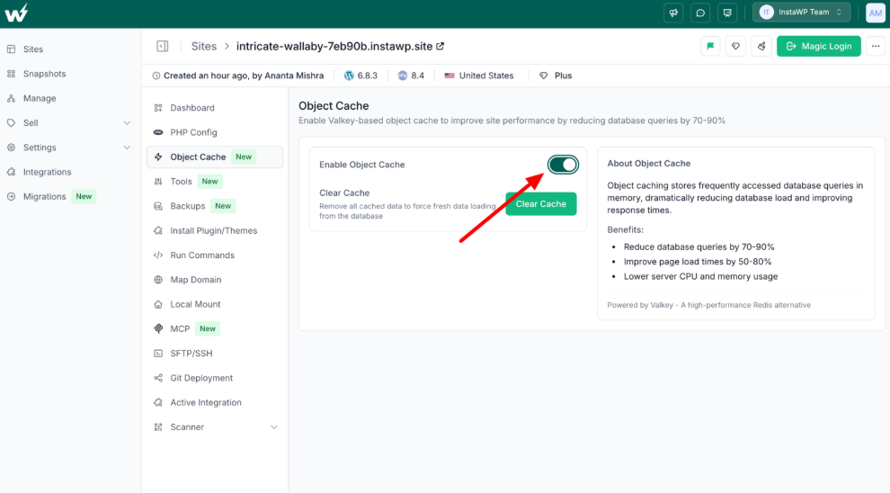 WooCommerce caching enabling built-in Object Cache in InstaWP using the Enable Object Cache toggle