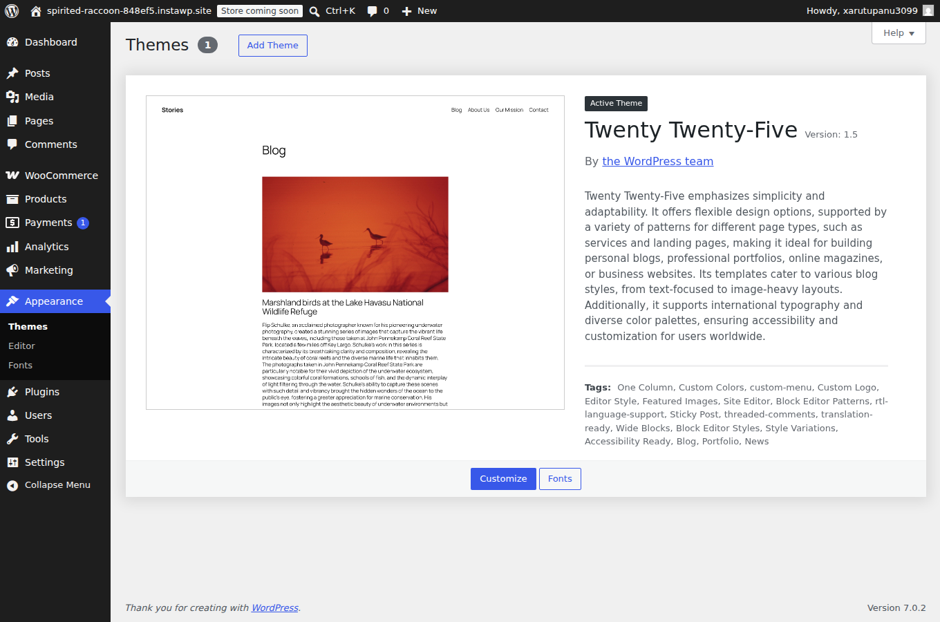 Customizing the WordPress eCommerce theme and layout