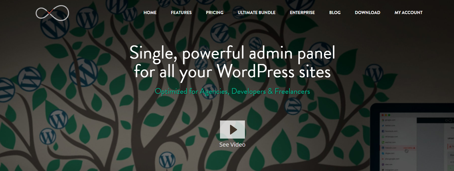 Homepage screenshot of InfiniteWP site management tool for agencies.