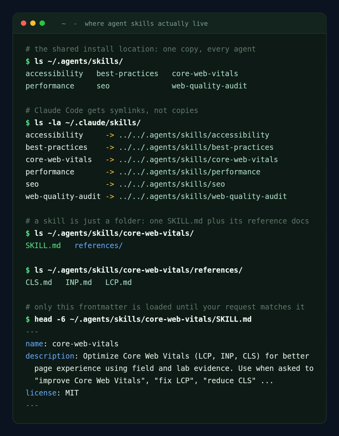 Terminal listing showing ~/.agents/skills as the real install location, ~/.claude/skills entries as symlinks pointing back to it, and a single skill folder containing SKILL.md plus a references directory