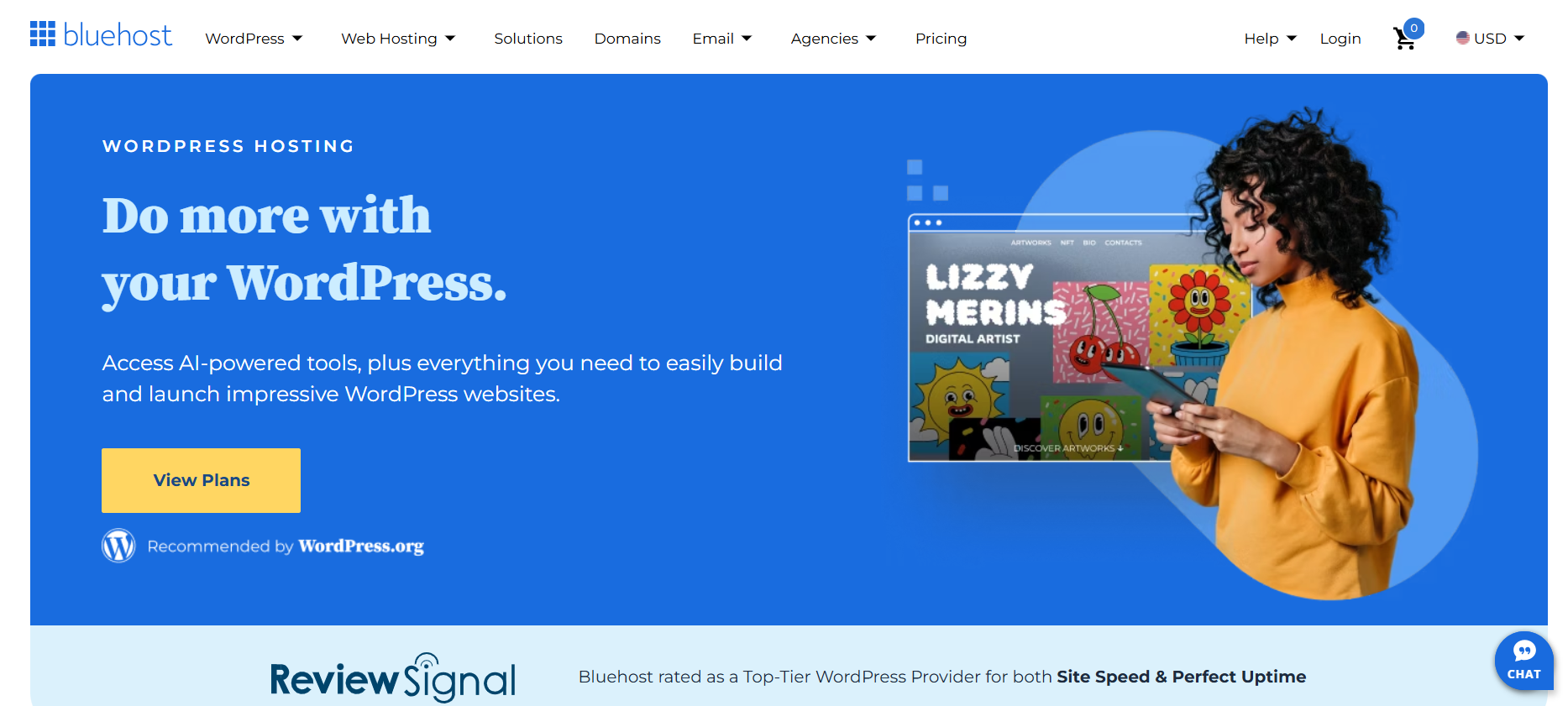 Bluehost managed hosting provider for small agencies as a reliable GoDaddy alternative 