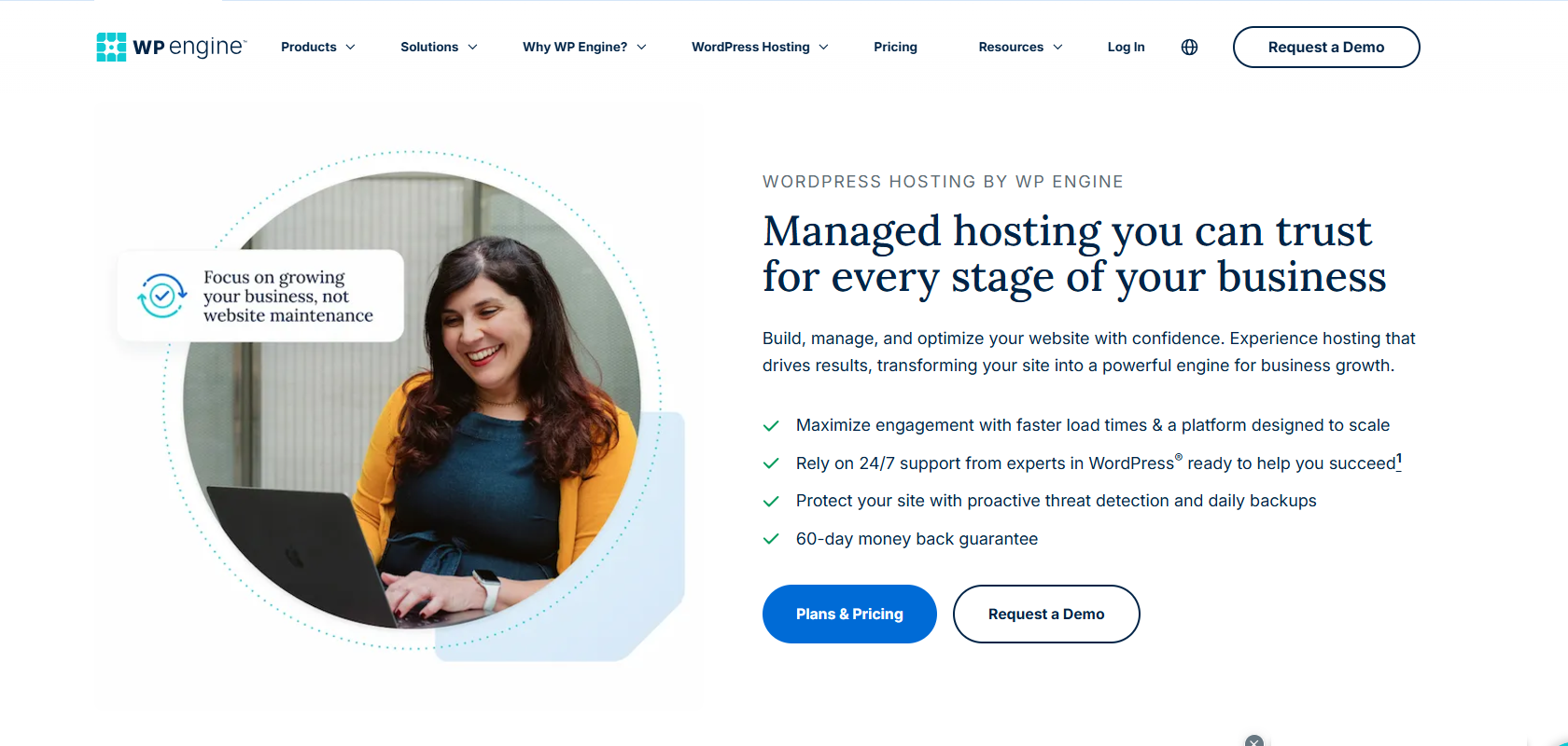 WPEngine managed hosting provider for small agencies