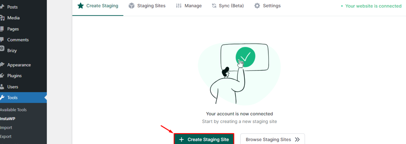 Step 1: Install WordPress on the New Host: Go to the staging tool section