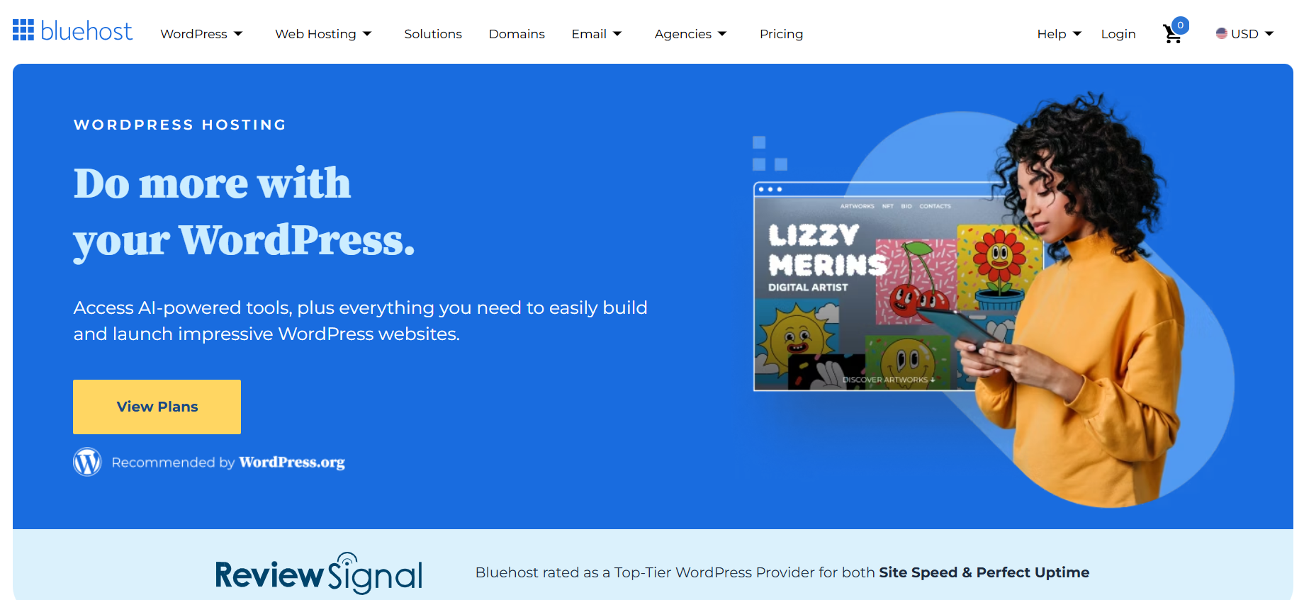 The BlueHost website