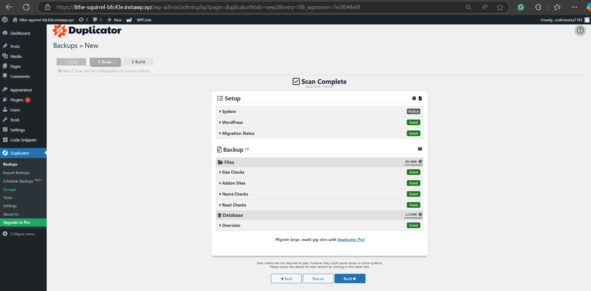 Click on 'Build' to create the backup to clone a site.