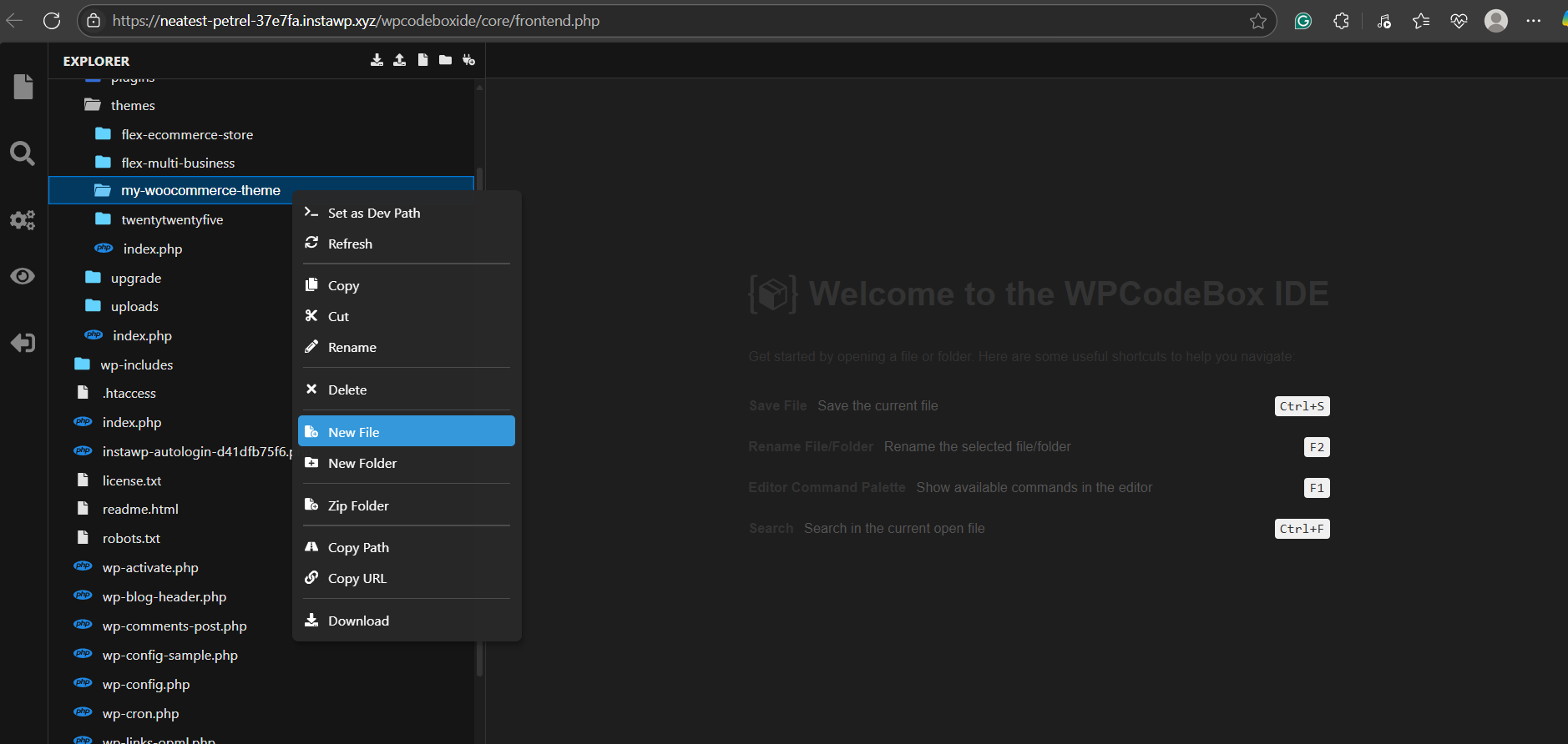 Step 2: Create Your Custom Theme Folder: screenshot from the guide How to Start With Custom WooCommerce Theme Development in 2026 (screen 4 of 4)