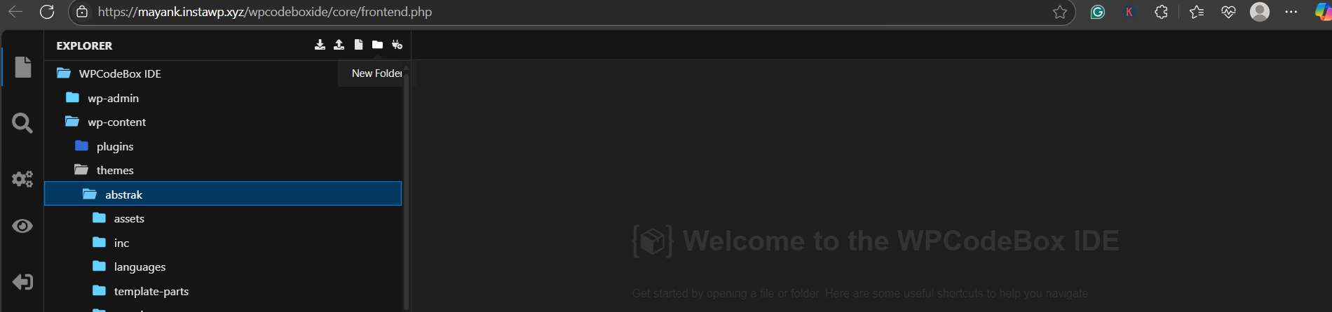 🛠️ What You Need to Do, screenshot from the guide How to Use Ajax in WordPress (step 4 of 5)