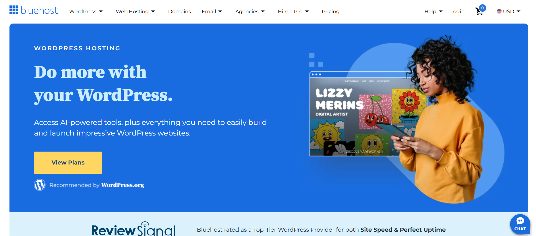 The Bluehost website