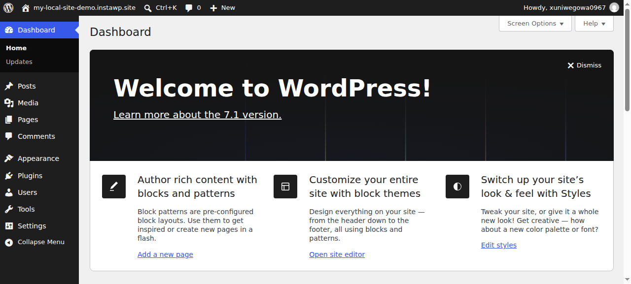 WordPress dashboard opened through InstaWP Magic Login after a push