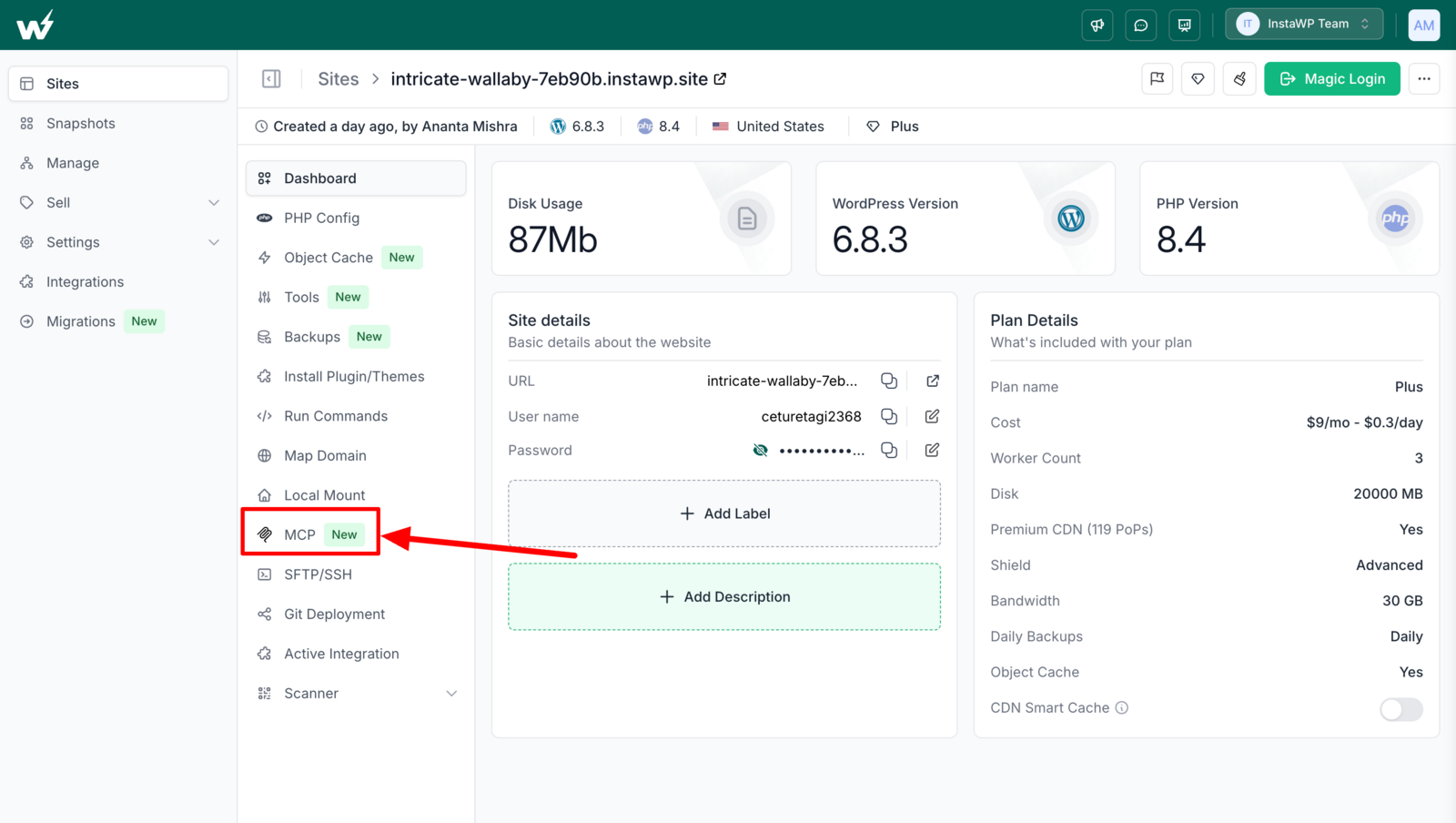 InstaWP site dashboard with the MCP option in the site menu