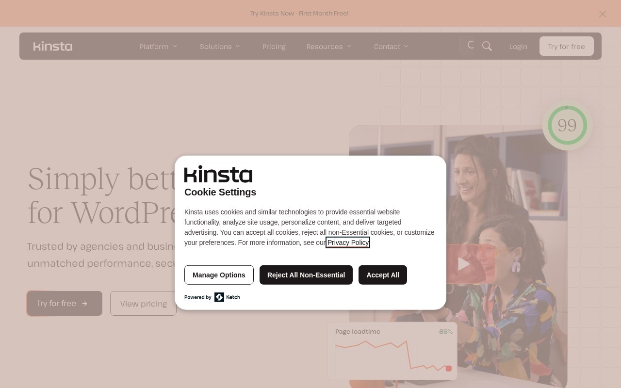 The Kinsta managed WordPress hosting homepage
