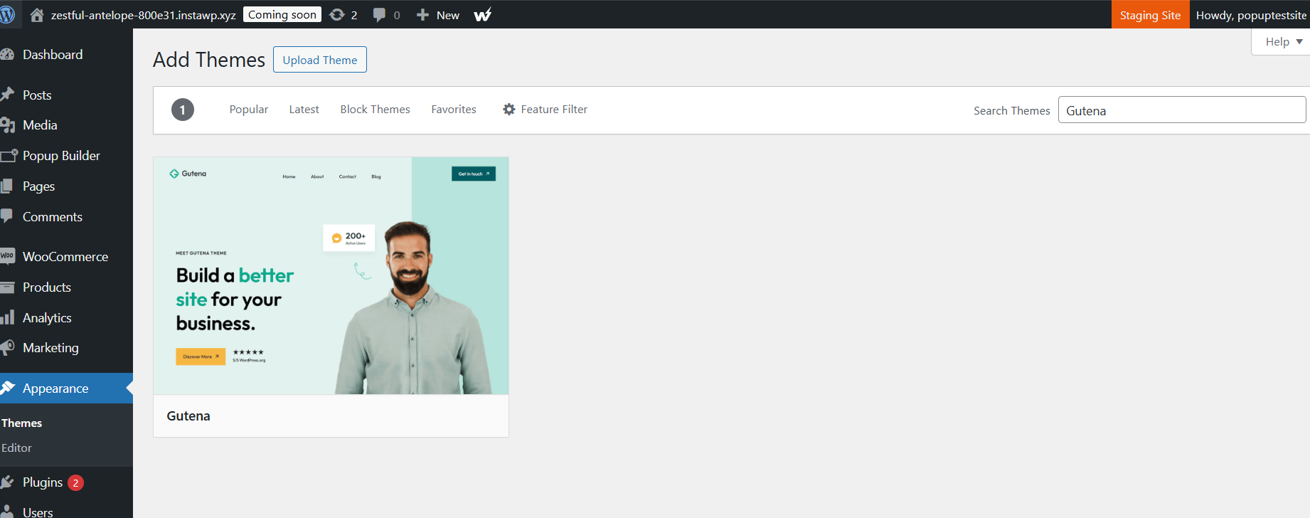Step 1: Set Up a Staging Site (screenshot 4)