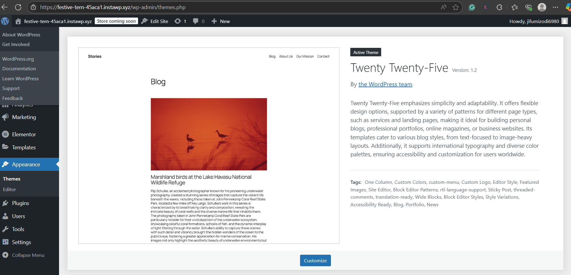 WordPress default theme