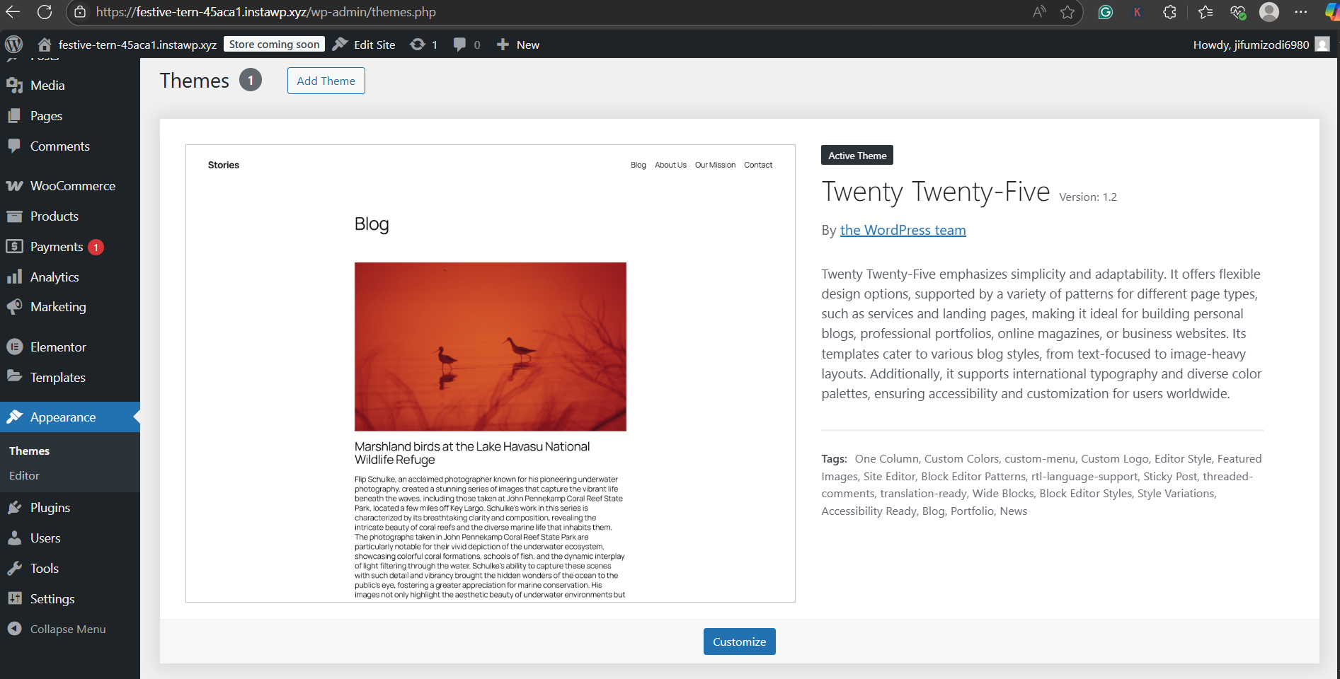 How to Use the Default Theme in WordPress (Step-by-Step), screenshot from the guide What Is the Default WordPress Theme