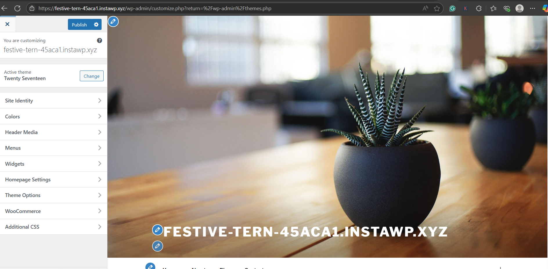 For Classic Themes (e.g., Twenty Seventeen, Twenty Fifteen), step from the guide What Is the Default WordPress Theme