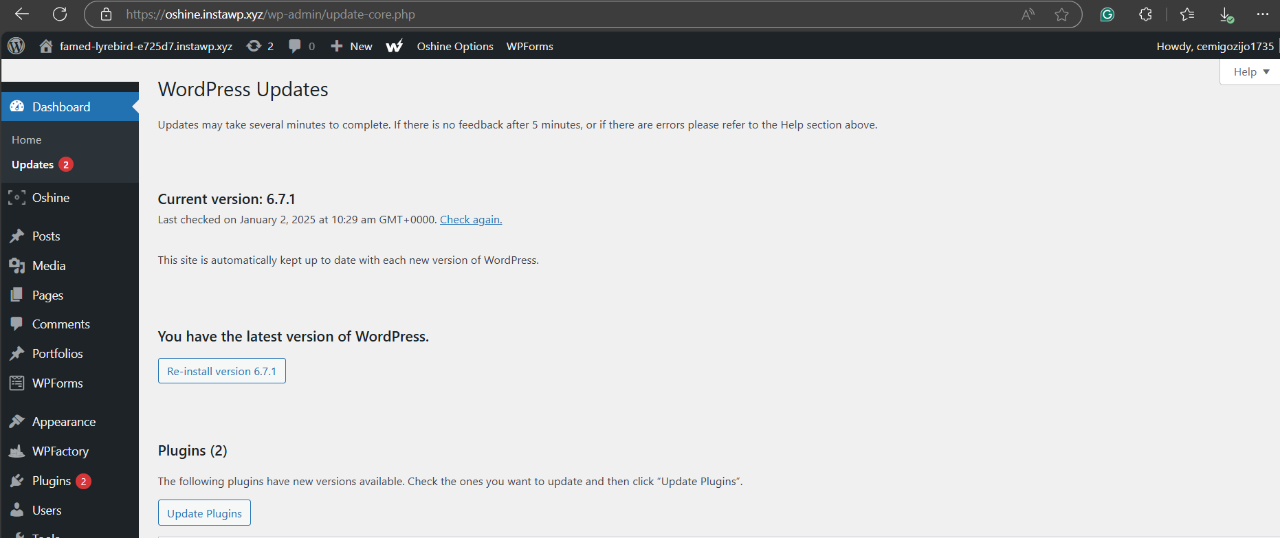 Method 2: Manage WordPress Automatic Updates Through Dashboard, step from the guide WordPress Automatic Updates