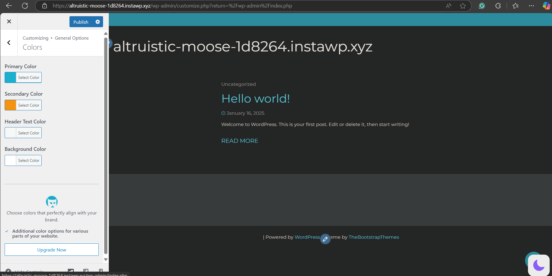 Look for any options related to Colors or Layout, such as Dark Mode or Night Mode to add WordPress dark mode using theme customization.