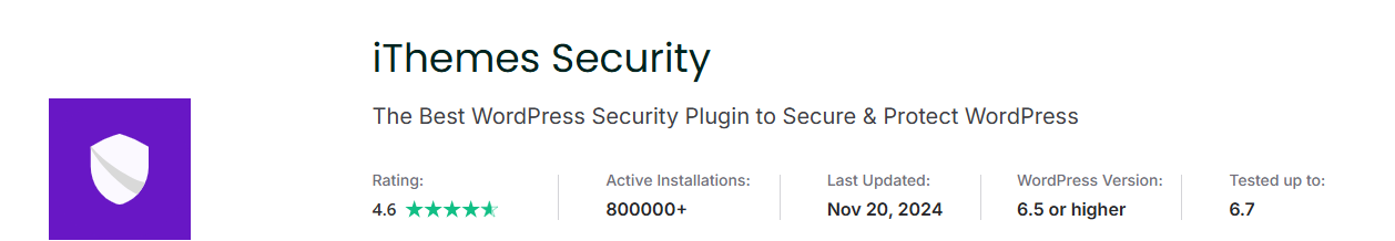 The iThemes Security website