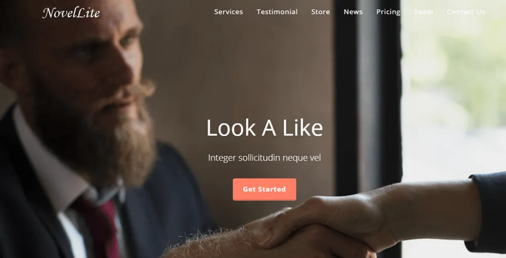 Demo homepage of the NovelLite free WordPress theme, a layout novelists and authors can use for an author website