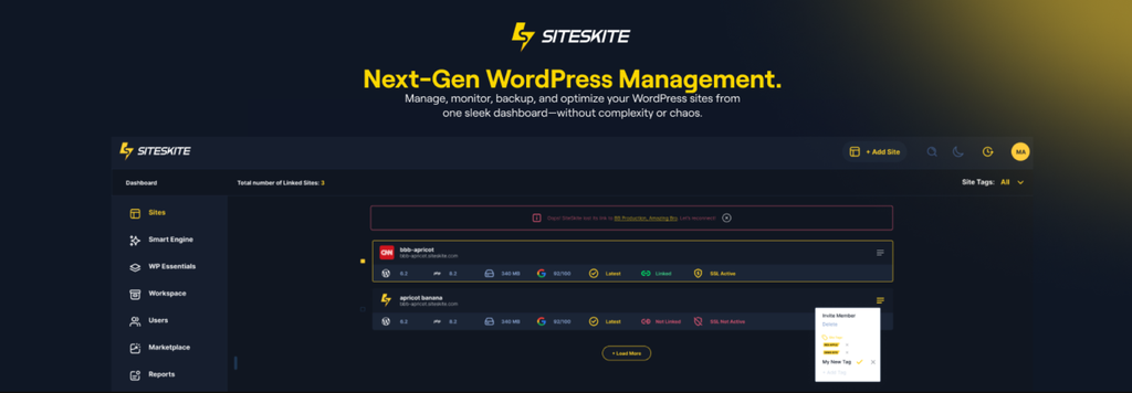 SiteSkite WordPress MCP plugin 